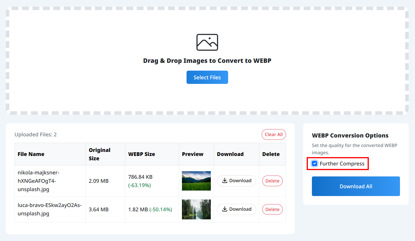 Tampilan Pengaturan Opsi Konversi WEBP