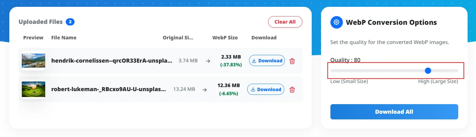 WebP 변환 옵션 설정 화면