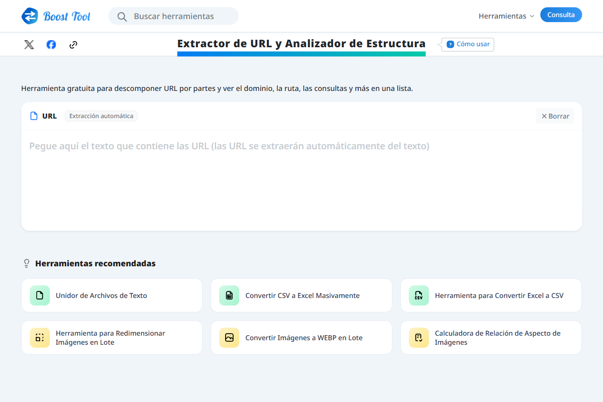 Pantalla de entrada del Comprobador de Estructura de URL