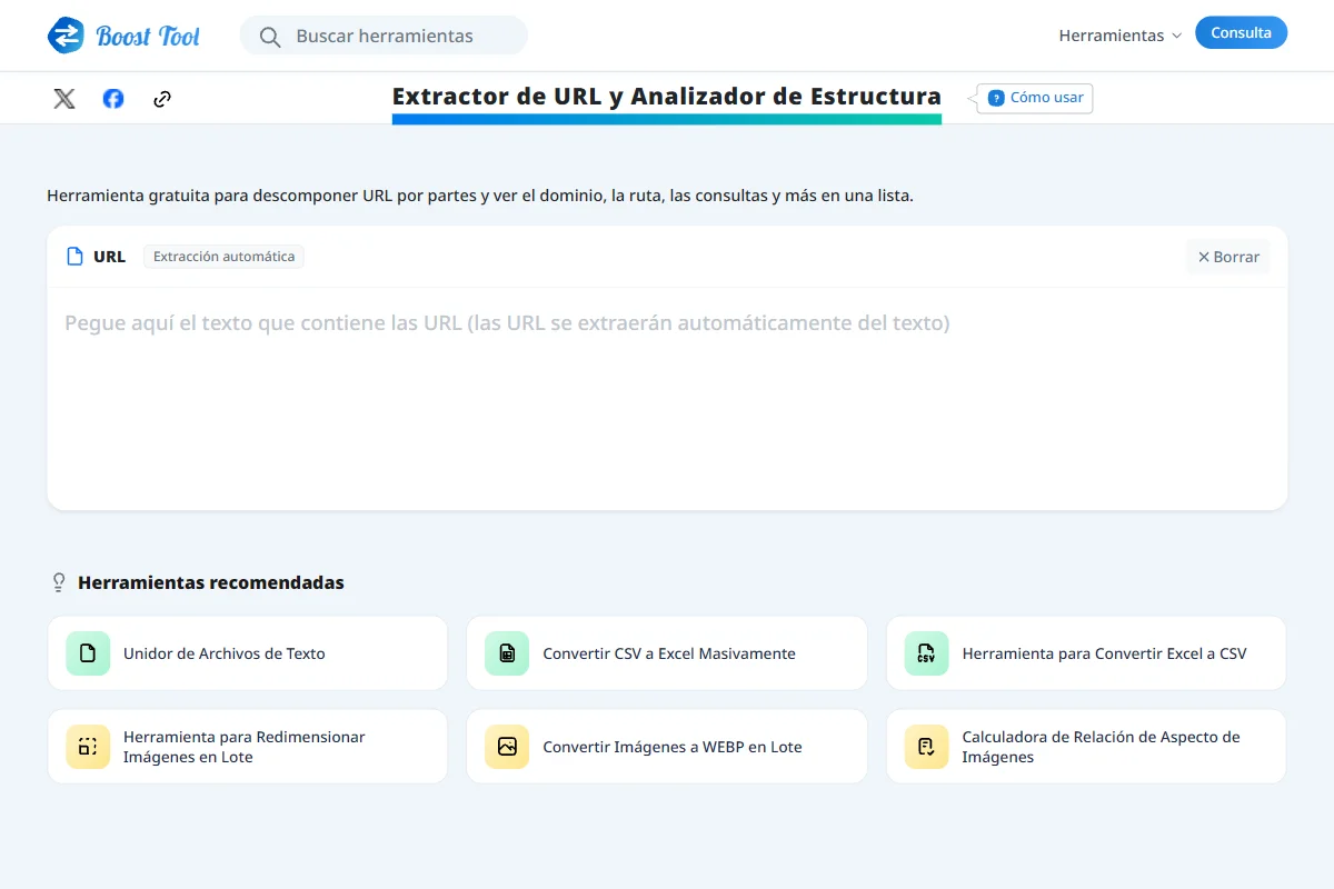 Pantalla de entrada del Comprobador de Estructura de URL